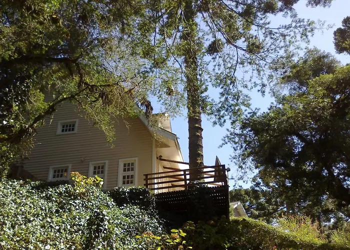 Forest Pine Inn