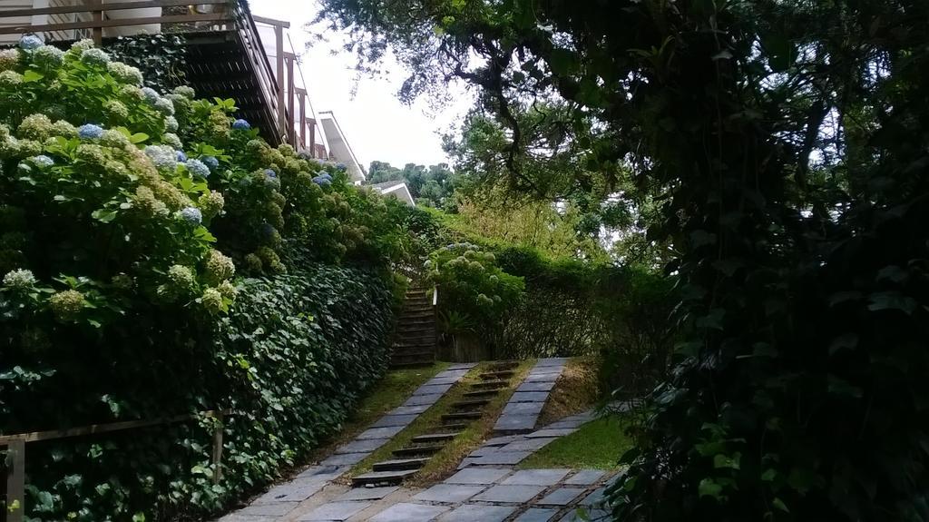 Casa de férias Forest Pine *